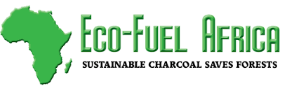 Eco-fuel Africa-2019-startup