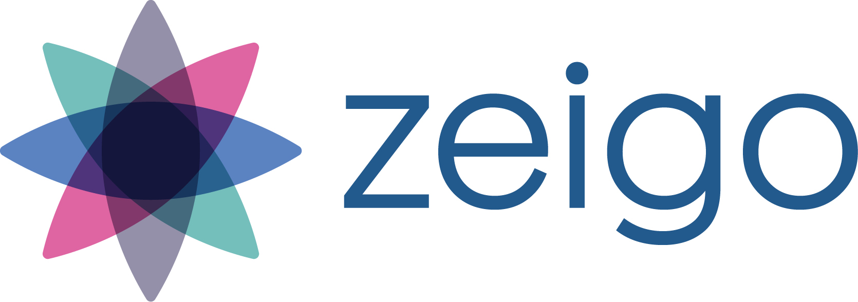 zeigo-2020-startup
